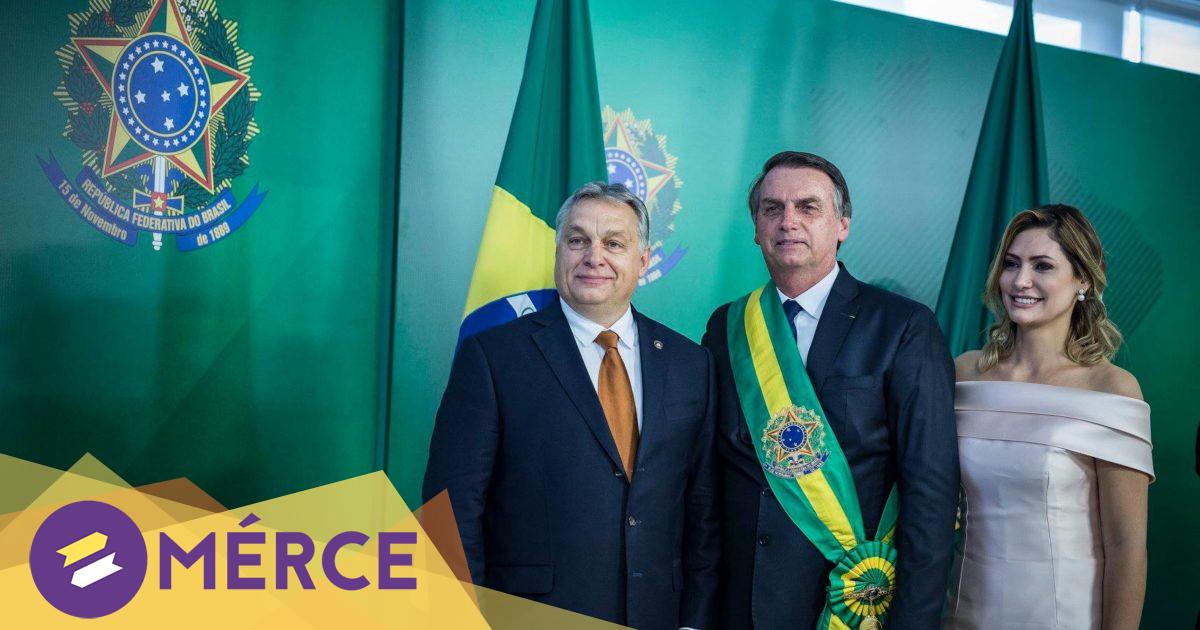 haiti nő találkozó meet sklonovani