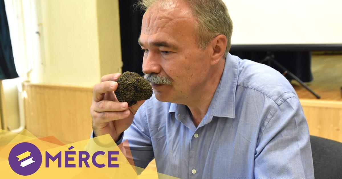 Nagy István esete a csokistücsökkel és a globalizációval Kép