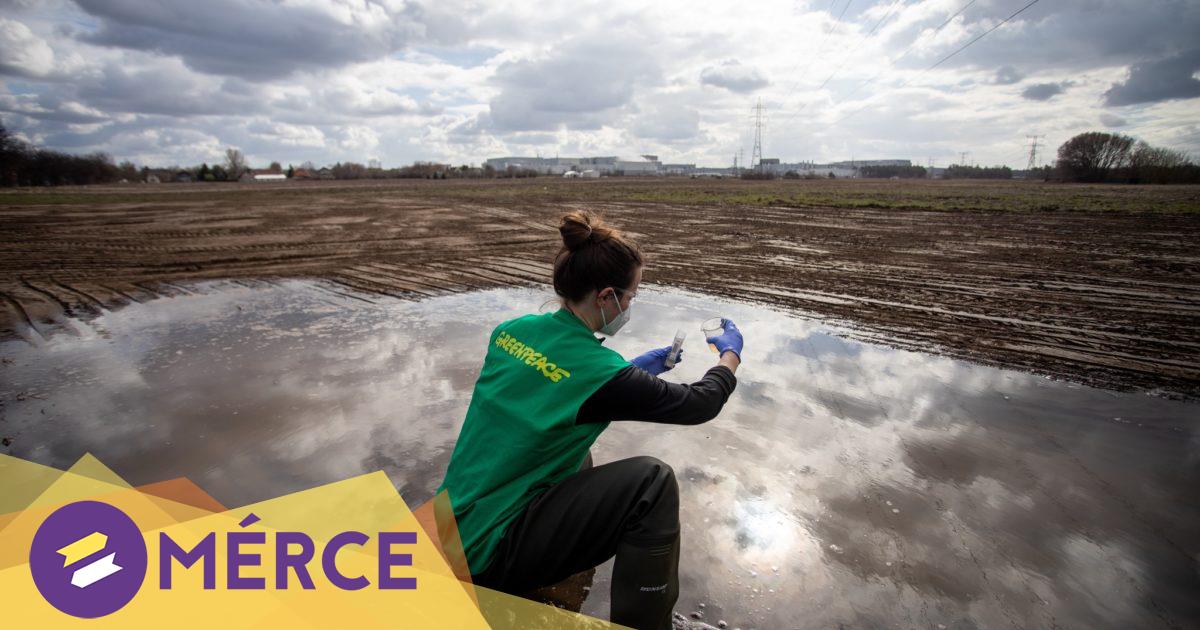 A hatóságnak és a Samsungnak is nehezen hihetjük el a Greenpeace szerint, mérgez-e a gödi akkugyár « Mérce A hatóságnak és a Samsungnak is nehezen hihetjük el a Greenpeace szerint, mérgez-e a gödi akkugyár « Mérce