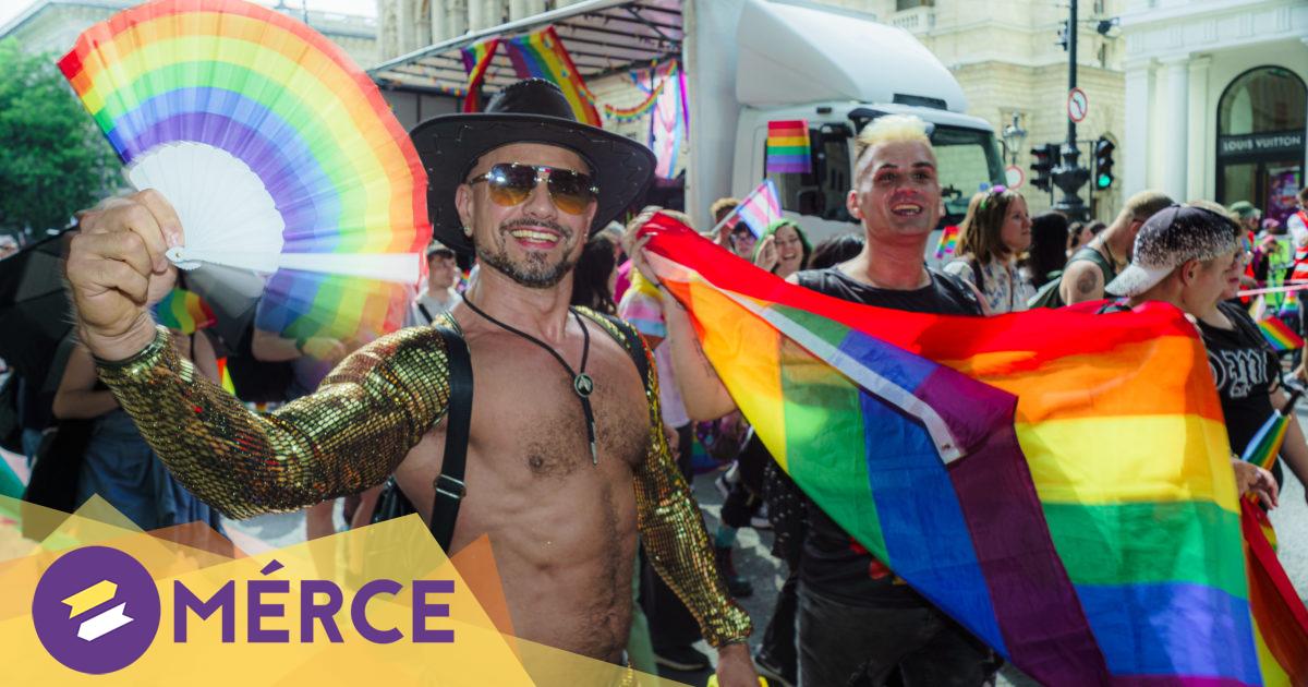 Merjünk buzik lenni, merjünk mások lenni! – rendszerkritikus szervezetek a Pride-ról Kép